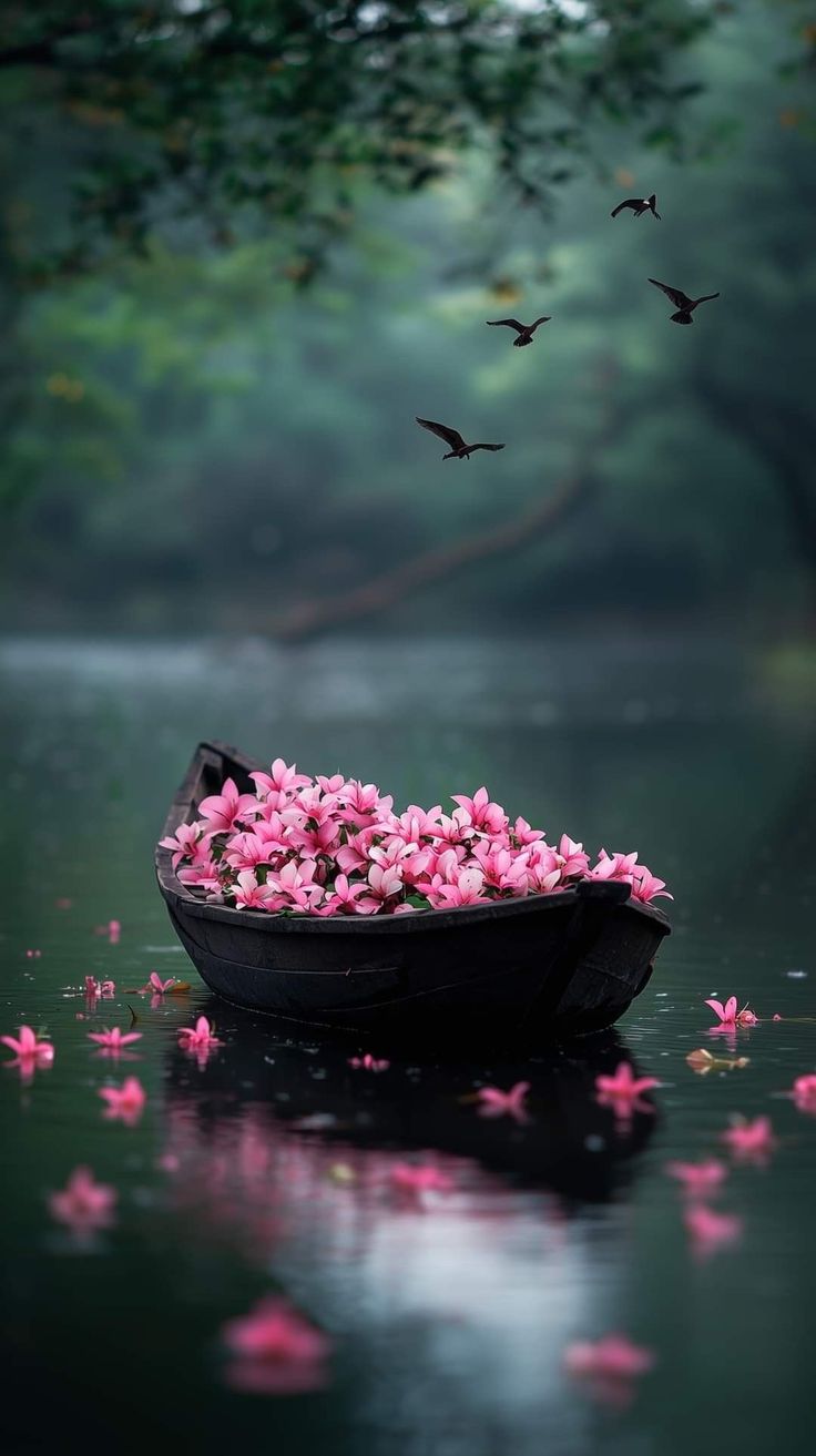 Hypnose RENCONTRE DU SAGE INTERIEUR